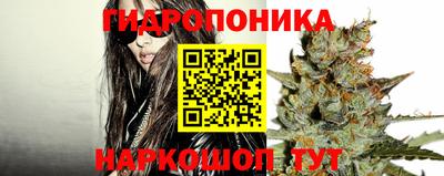 метадон Будённовск